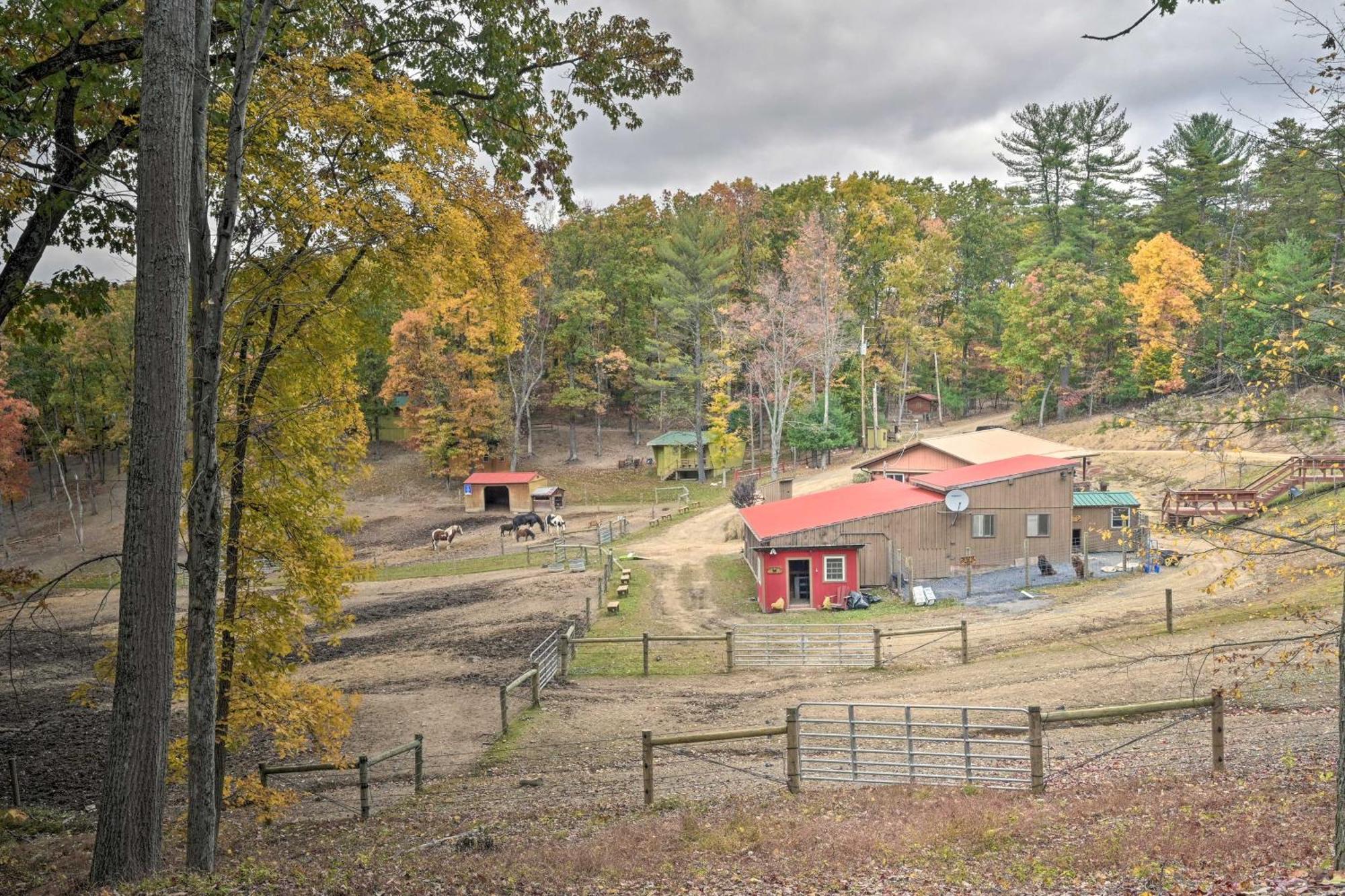 Lone Ranger Cabin With 50 Acres By Raystown Lake Huntingdon Exteriér fotografie
