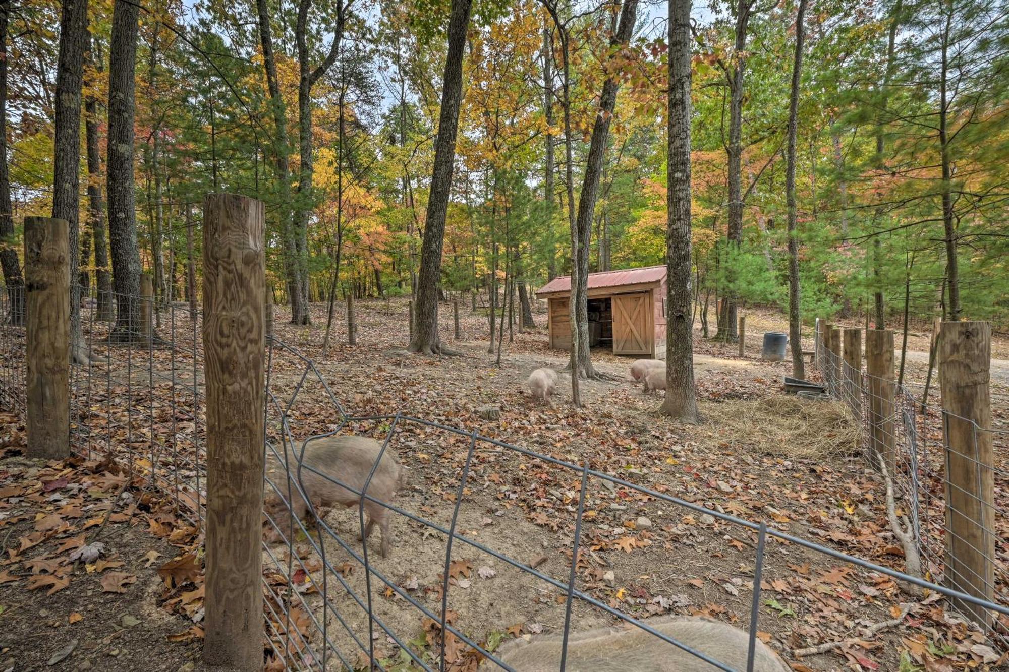 Lone Ranger Cabin With 50 Acres By Raystown Lake Huntingdon Exteriér fotografie
