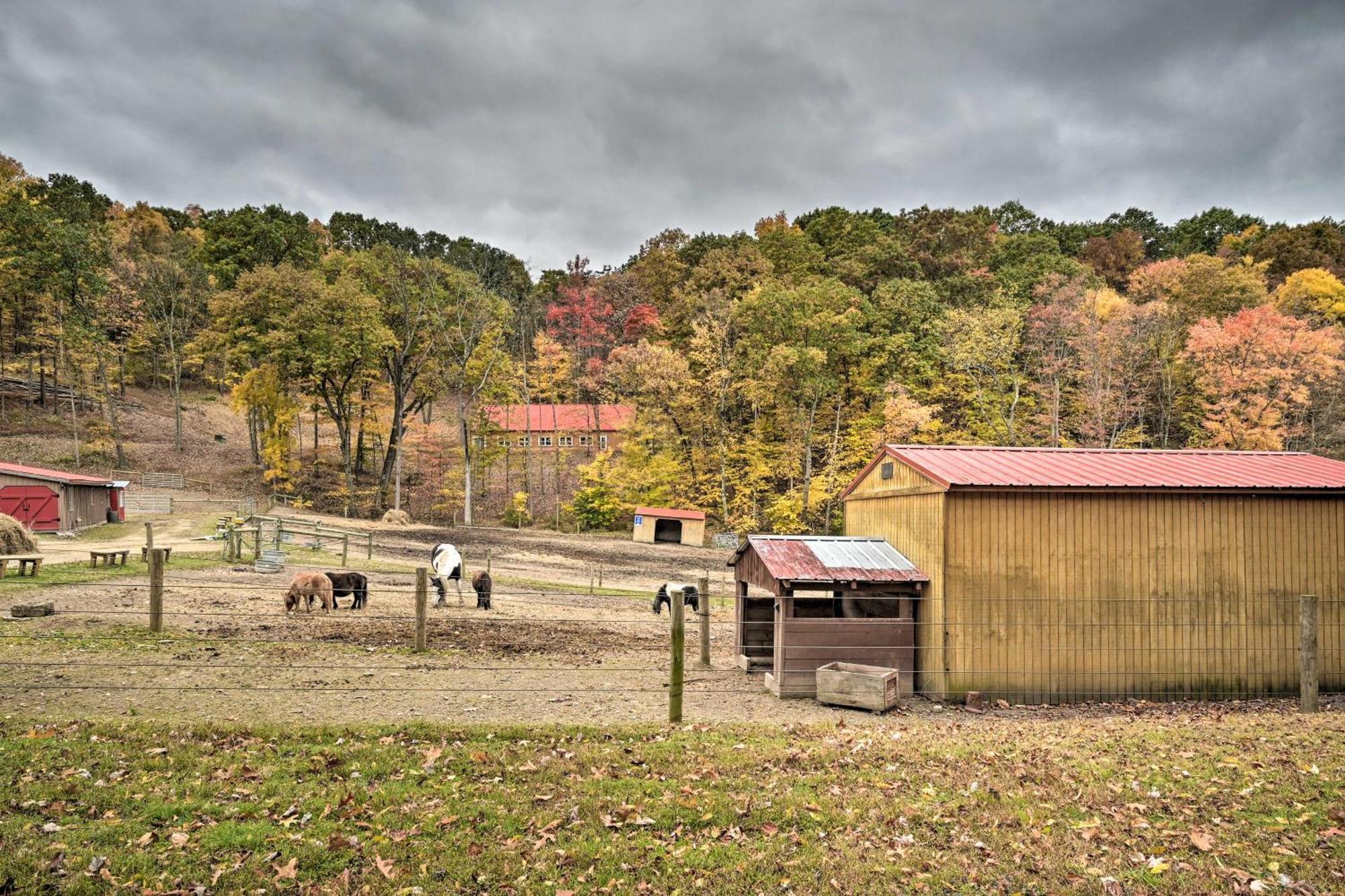 Lone Ranger Cabin With 50 Acres By Raystown Lake Huntingdon Exteriér fotografie